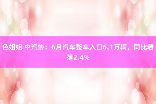 色姐姐 中汽协：6月汽车整车入口6.1万辆，同比着落2.4%