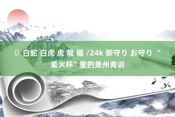 ✨白蛇 白虎 虎 龍 福 /24k 御守り お守り “星火杯”里的贵州青训