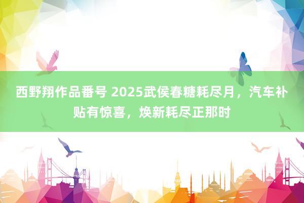 西野翔作品番号 2025武侯春糖耗尽月，汽车补贴有惊喜，焕新耗尽正那时