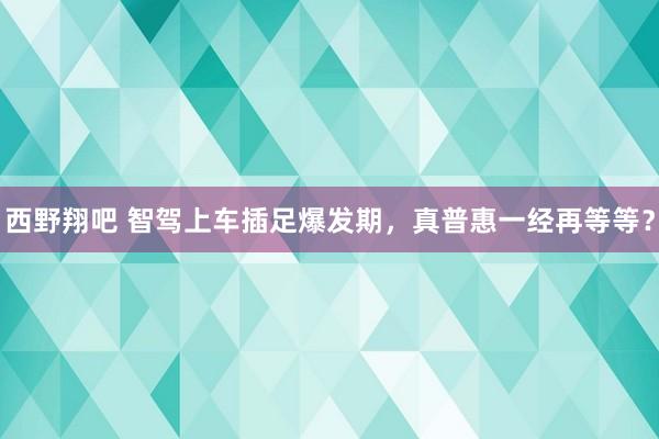 西野翔吧 智驾上车插足爆发期，真普惠一经再等等？