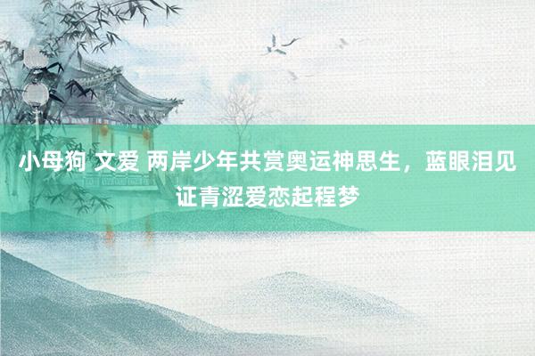 小母狗 文爱 两岸少年共赏奥运神思生，蓝眼泪见证青涩爱恋起程梦