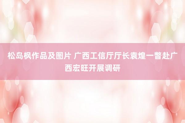 松岛枫作品及图片 广西工信厅厅长袁煌一瞥赴广西宏旺开展调研