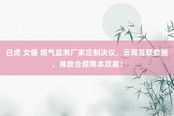 白虎 女優 烟气监测厂家定制决议，云霄互联数据，排放合规降本双赢！