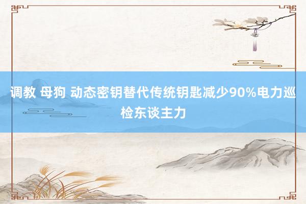 调教 母狗 动态密钥替代传统钥匙减少90%电力巡检东谈主力