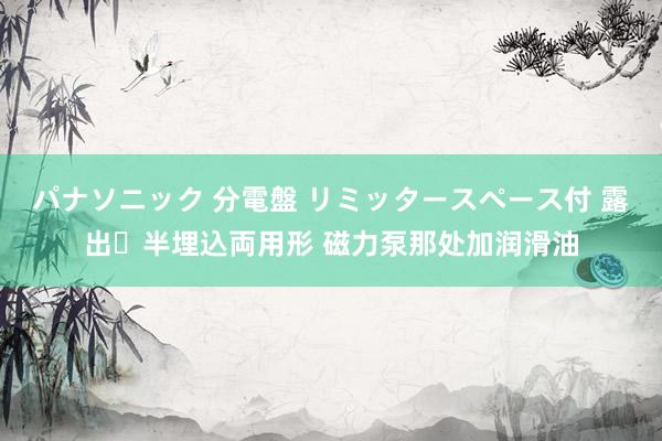 パナソニック 分電盤 リミッタースペース付 露出・半埋込両用形 磁力泵那处加润滑油
