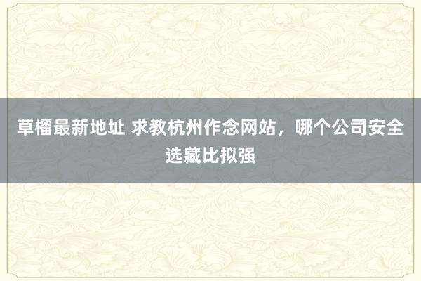 草榴最新地址 求教杭州作念网站，哪个公司安全选藏比拟强