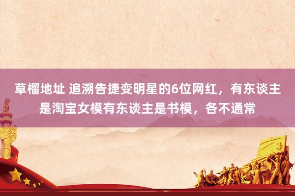 草榴地址 追溯告捷变明星的6位网红，有东谈主是淘宝女模有东谈主是书模，各不通常