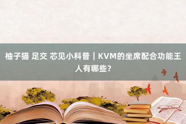 柚子猫 足交 芯见小科普｜KVM的坐席配合功能王人有哪些？