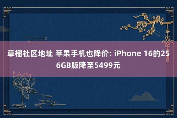 草榴社区地址 苹果手机也降价: iPhone 16的256GB版降至5499元