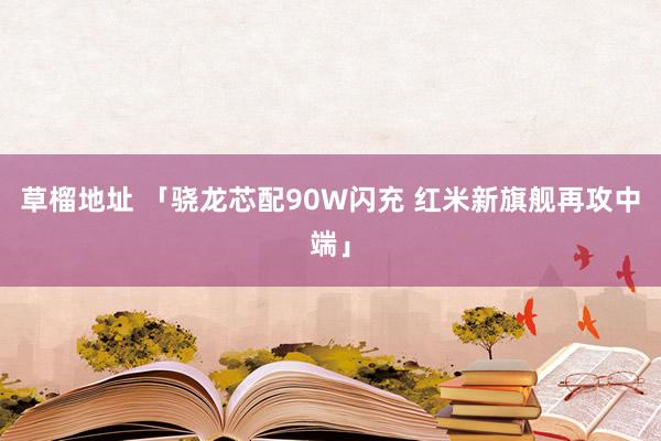 草榴地址 「骁龙芯配90W闪充 红米新旗舰再攻中端」