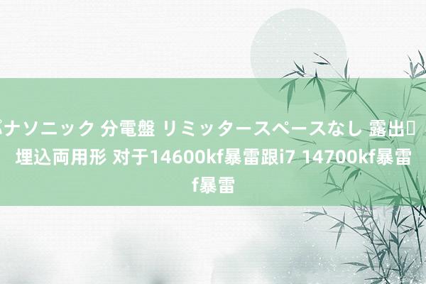 パナソニック 分電盤 リミッタースペースなし 露出・半埋込両用形 对于14600kf暴雷跟i7 14700kf暴雷