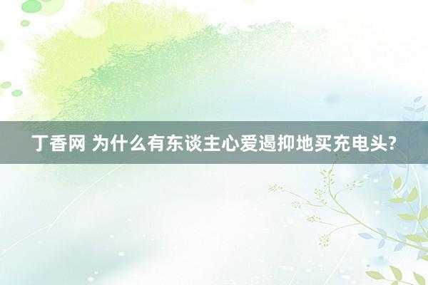 丁香网 为什么有东谈主心爱遏抑地买充电头?