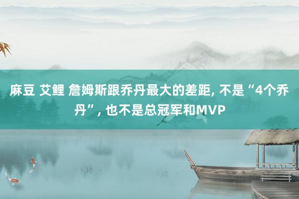 麻豆 艾鲤 詹姆斯跟乔丹最大的差距, 不是“4个乔丹”, 也不是总冠军和MVP