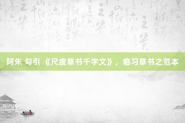 阿朱 勾引 《尺度草书千字文》，临习草书之范本