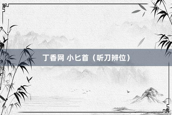 丁香网 小匕首（听刀辨位）