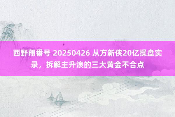 西野翔番号 20250426 从方新侠20亿操盘实录，拆解主升浪的三大黄金不合点