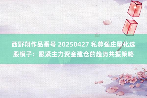 西野翔作品番号 20250427 私募强庄量化选股模子：跟紧主力资金建仓的趋势共振策略