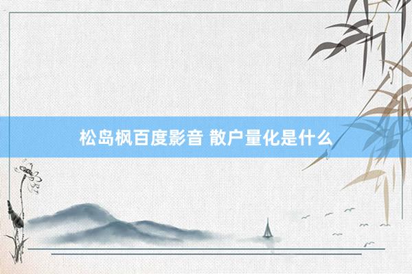 松岛枫百度影音 散户量化是什么