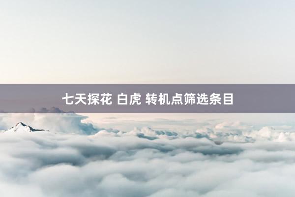 七天探花 白虎 转机点筛选条目